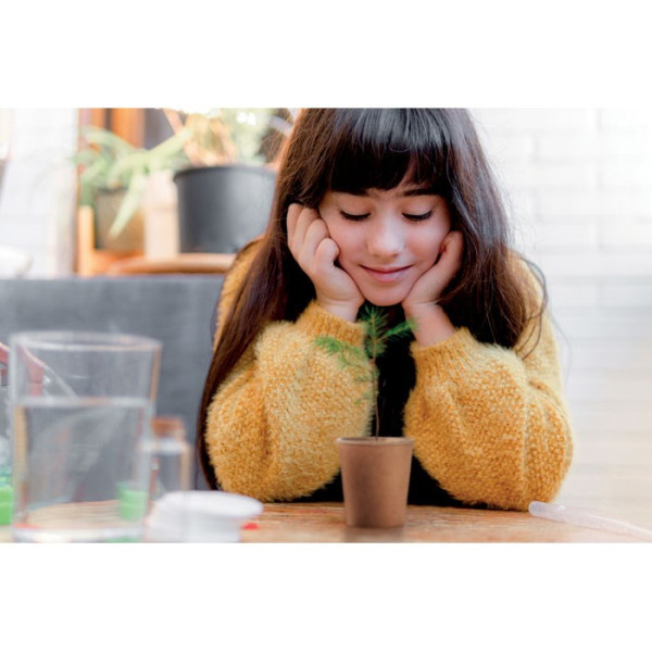 GROWTREE™ - Kiefernsamen-Set